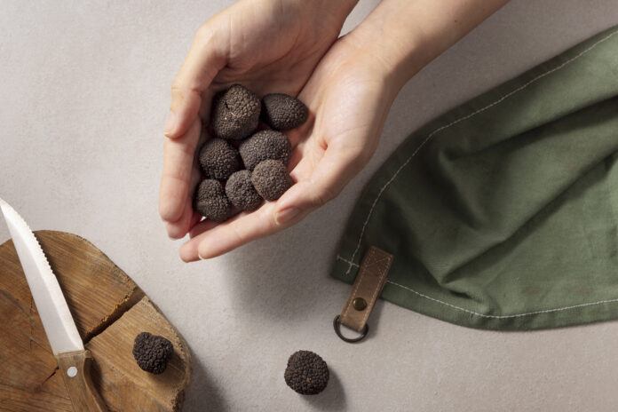 Mãos segurando trufas italianas frescas, com uma faca de madeira e tecido verde ao lado, destacando o luxo da culinária.